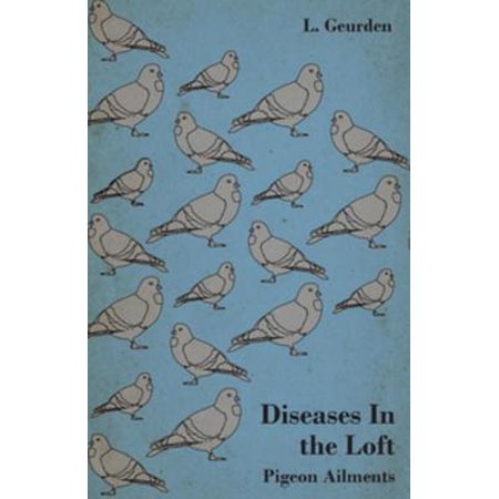 Diseases In The Loft - Pigeon Ailments. - eBook (Best Pigeon Loft In The World)