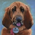 thumbnail image 2 of Hound Dog Poster Print by Becky Golubski, 2 of 2