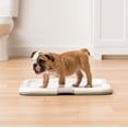 thumbnail image 4 of IRIS USA Square Potty Training Pad Holder, Blue, 4 of 7