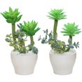 thumbnail image 1 of 2pcs simulation succulents bonsai artificial succulents potted creative small ornaments simulation plants, 1 of 5