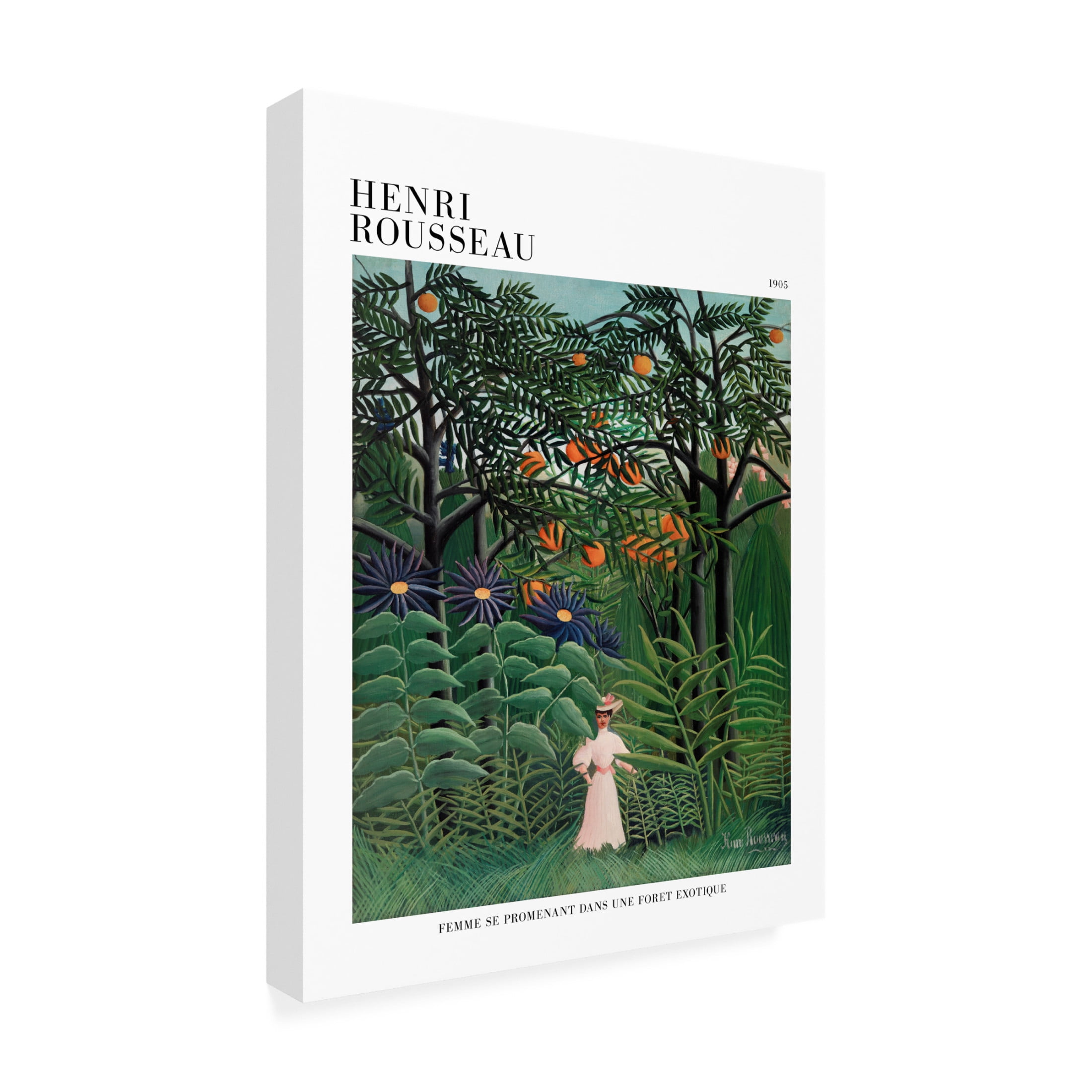 Trademark Fine Art Pictufy Femme Se Promenant Dans Une Foret Exotique Canvas Wall Art