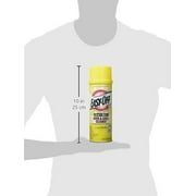 Easy-Off Professional Oven & Grill Cleaner, 24 oz Can