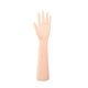 thumbnail image 3 of Mano de maniquí femenina, accesorio fotográfico, modelo de mano extendida Mano izquierda, 3 of 9