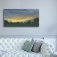 thumbnail image 4 of Epic Graffiti 'Farm Life II' by James Wiens, Canvas Wall Art, 60"x30", 4 of 8