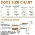 thumbnail image 5 of Dogs Knee Brace for Back Leg, Hinged Dog Knee Brace for Torn ACL Hind Leg, Dog Knee Brace for Luxating Patella, Dog Brace for Back Leg Support, 5 of 5
