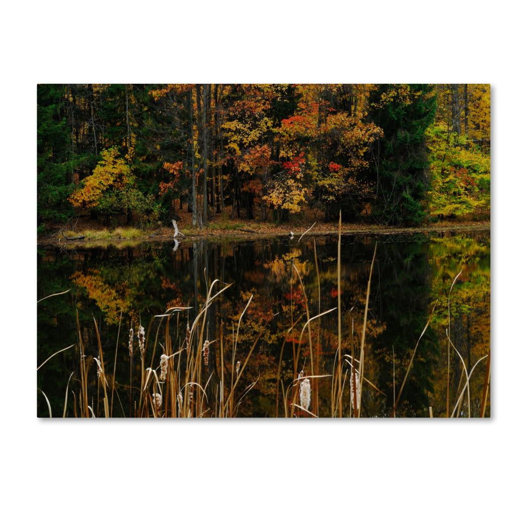 Trademark Fine Art "Beautiful Memory" Canvas Wall Art by Kurt Shaffer