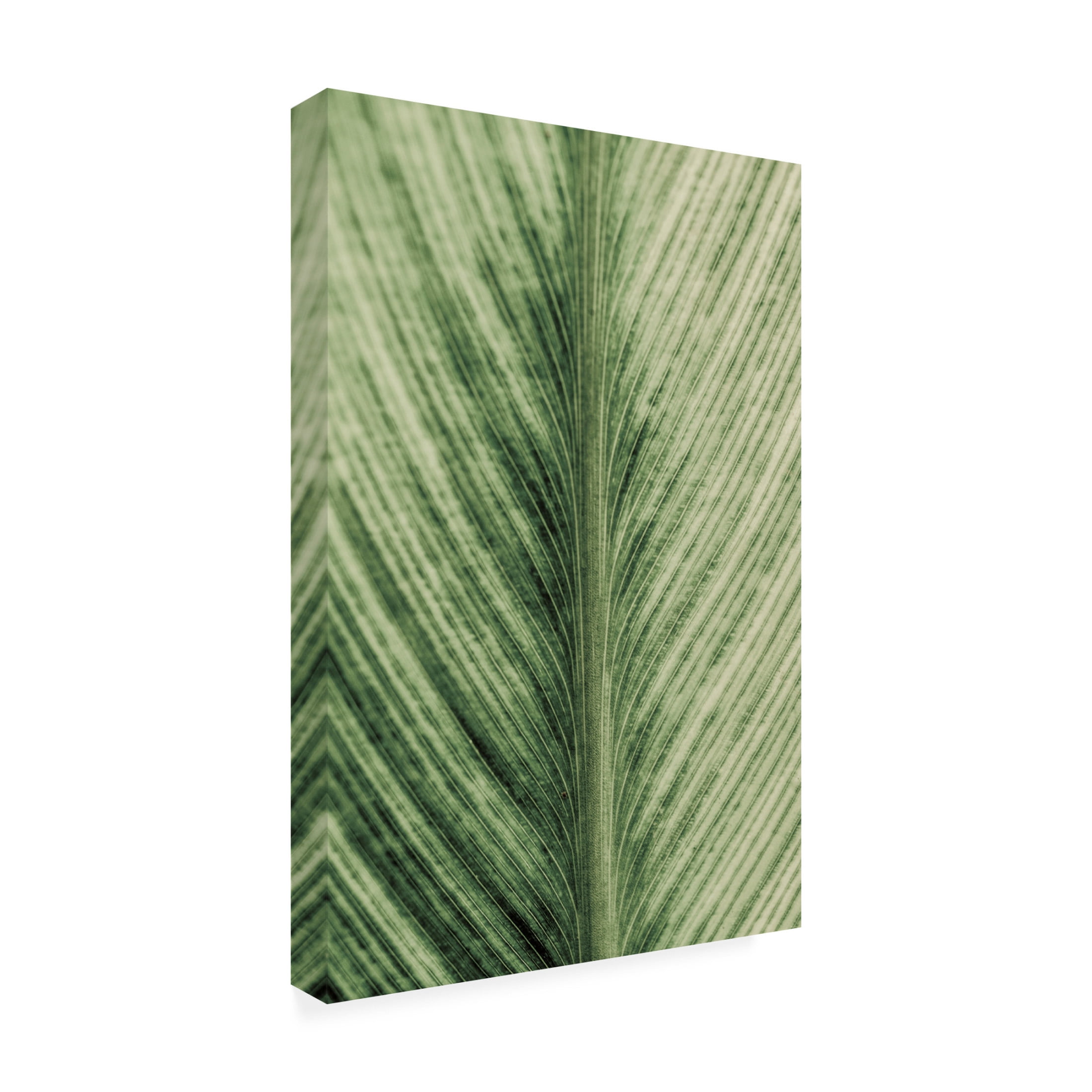 Trademark Fine Art Shot by Clint Forest Jewel Canvas Wall Art