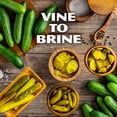 thumbnail image 6 of (12 pack) Mt. Olive Petite Snack Crunchers Kosher Dill Pickles, 16 fl oz Jar, 6 of 8