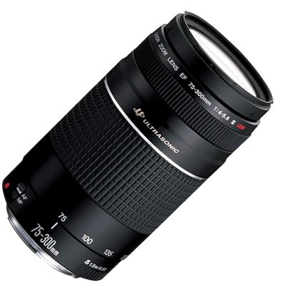 Buy Canon T6 Eos Rebel Dslr Camera W Ef S 18 55mm Is Ii 75 300mm Iii Lens Kit Accessory Bundle 64gb Sdxc Memory Slr Photo Bag Wide Angle Lens Buy Canon T6 Eos Rebel Dslr Camera W Ef S 18 55mm Is Ii 75 300mm Iii Lens Kit Accessory Bundle 64gb Sdxc Memory Slr Photo Bag Wide Angle Lens