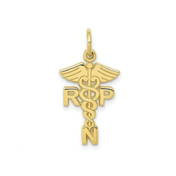 FJC Finejewelers 10 kt Yellow Gold Themed Registered Nurse Practitioner Charm 25 mm x 15 mm