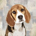 thumbnail image 3 of Rodgers, Keri 12x12 Black Modern Framed Museum Art Print Titled - Beagle, 3 of 5