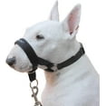 Dog Head Collar Halter Black 6 Sizes (XS 4"7" Snout)