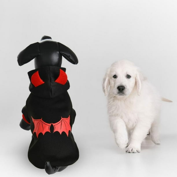 Dog fancy dress outfit 2025