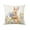 233, variant on Vggrvlo Easter Pillow Covers 18x18 Bunny Polka Dot Cushion Case Decoration Easter Decor for Sofa Indoor