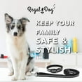 thumbnail image 3 of Regal Dog Products Reflective Standard Collar and 5ft Leash Set, 3 of 8