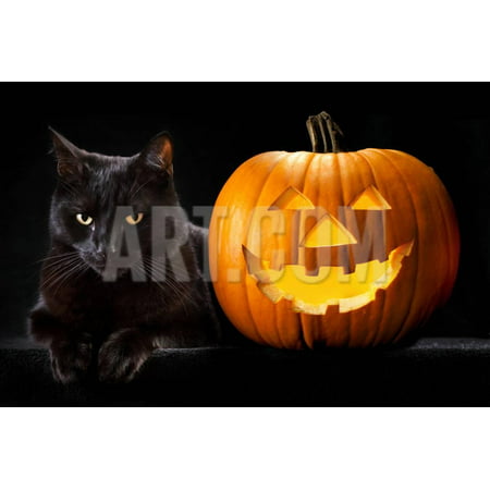 Halloween Pumpkin and Black Cat Scary Spooky and Creepy Horror Holiday Superstition Evil Animal And Print Wall Art By kikkerdirk