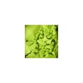 thumbnail image 1 of NYX Ombre à Paupières Unique 2 - Vert Clair, 1 of 4