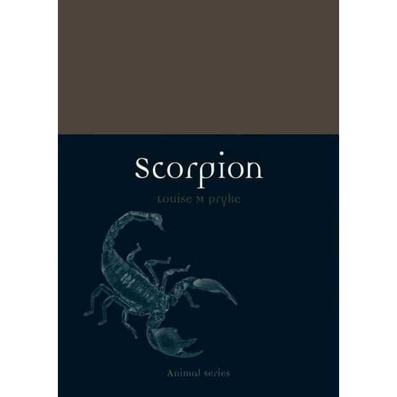 Animal: Scorpion (Paperback)