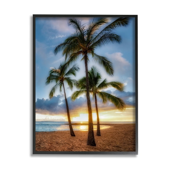 Stupell Industries Palm Trees Tropical Beach Cove Coastal Photography Black Framed Art Print Wall Art