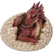 ABZ Brand Legend of Dragon Fantasy Fire Red Dragon in Egg Statue Figurine