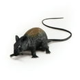 thumbnail image 1 of Bristol Novelty Squeaking Rat, 1 of 1