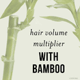 thumbnail image 4 of Pantene Bamboo Conditioner 237 ml, 4 of 5