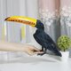 thumbnail image 5 of Pájaro con plumas animado, artesanía de tucán, decoración de primavera al aire libre, pájaro de espuma hecho a mano, decoración de estatua de jardín h, 5 of 9