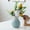 F, variant on Ceramic Vase Hydroponic, Rvkxad Elegant Water-Absorbent Ceramic Vase, 16x12x12cm Minimalist Living Room Decoration Vase for Home Office Gift