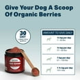 Four Leaf Rover Red Rover Organic Berry Blend Dog Prebiotics