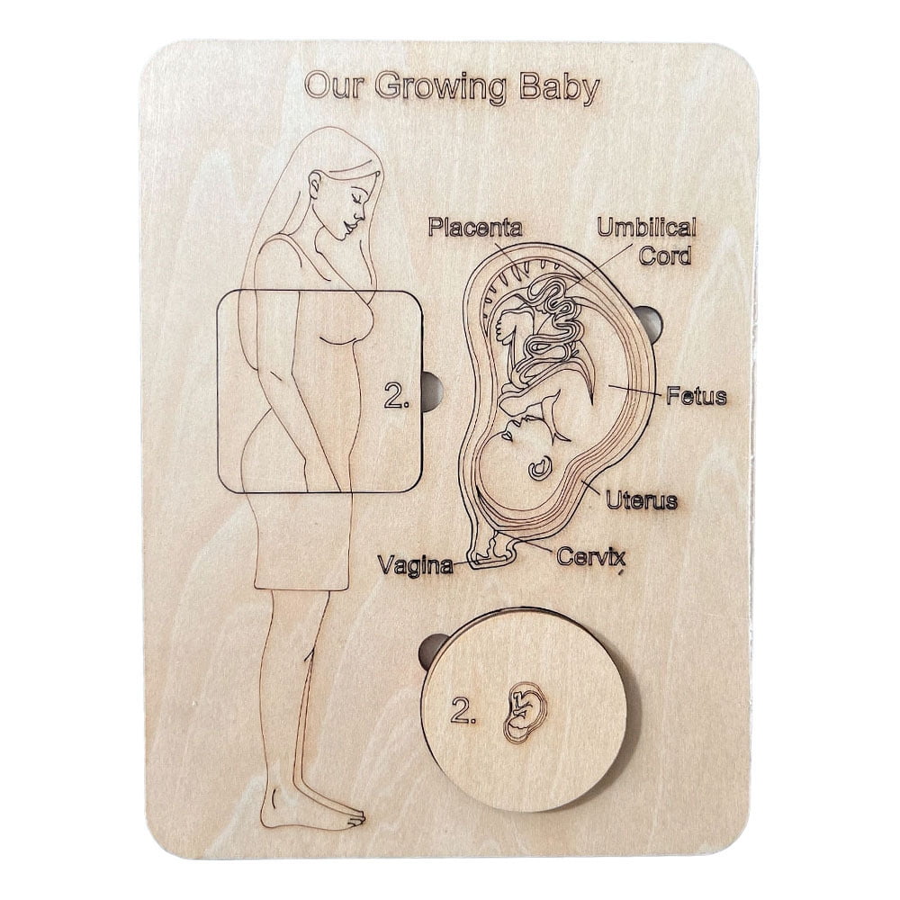 Merkmak Wooden Human Body Puzzle Pregnancy Puzzle for Educational Human