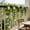 White, variant on Elegant Simulation Flower Vines for Timeless Home and Wedding Decor – Perfect for Living Rooms, Corporate Events, and Special Celebrations