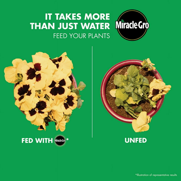 Miracle-Gro Powder All Purpose Plant Food 3 lb