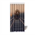 thumbnail image 1 of Cortina de Ducha ABPHQTO de poliéster Impermeable Oso 90x180 cm, 1 of 2