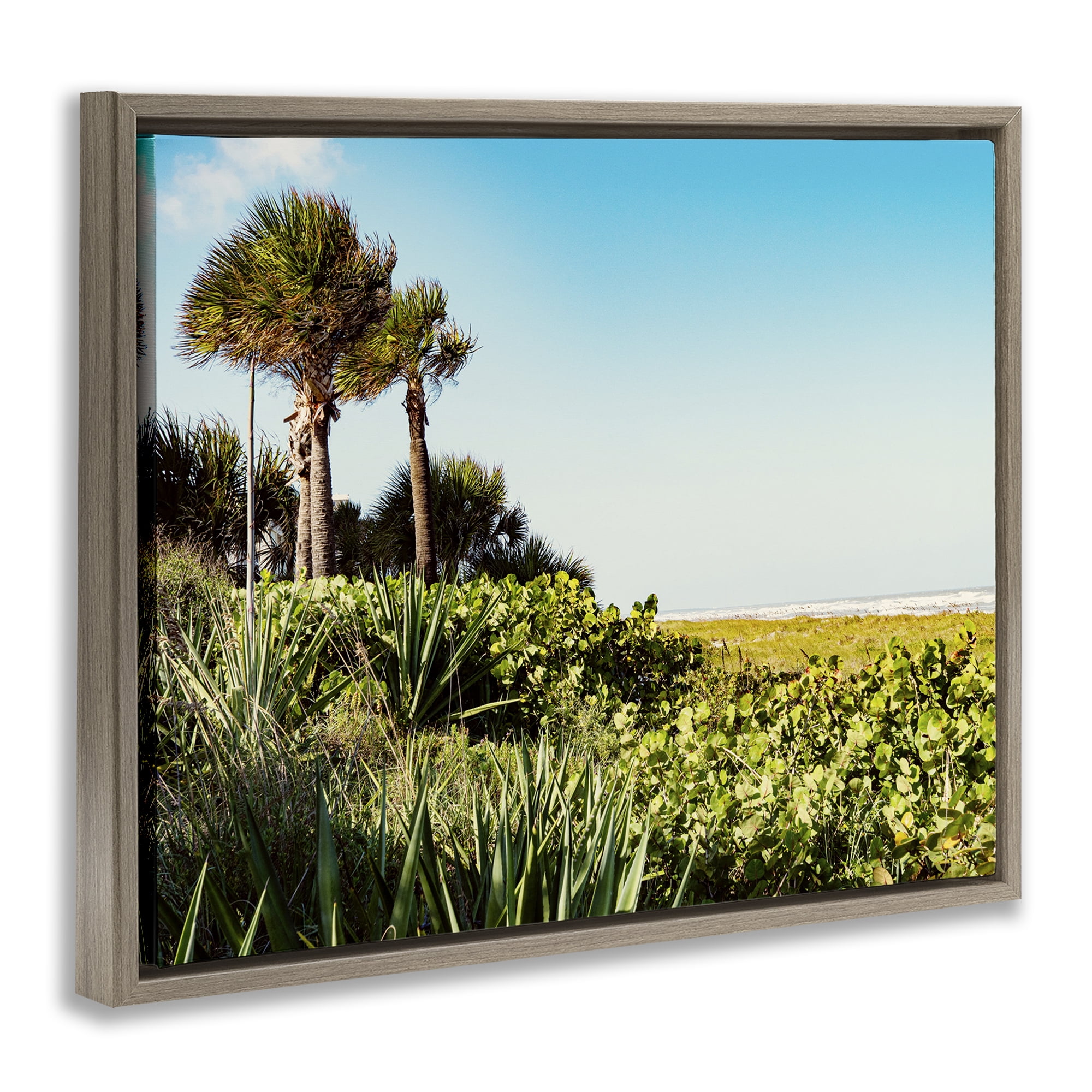 Stupell Industries Lush Tropical Shoreline Landscape Photography Brown Floater Framed Canvas Art Print Wall Art, 21 x 17
