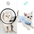 thumbnail image 4 of Traje de recuperación para gatos DOTON Surgical Post Surgery Blue S, 4 of 5