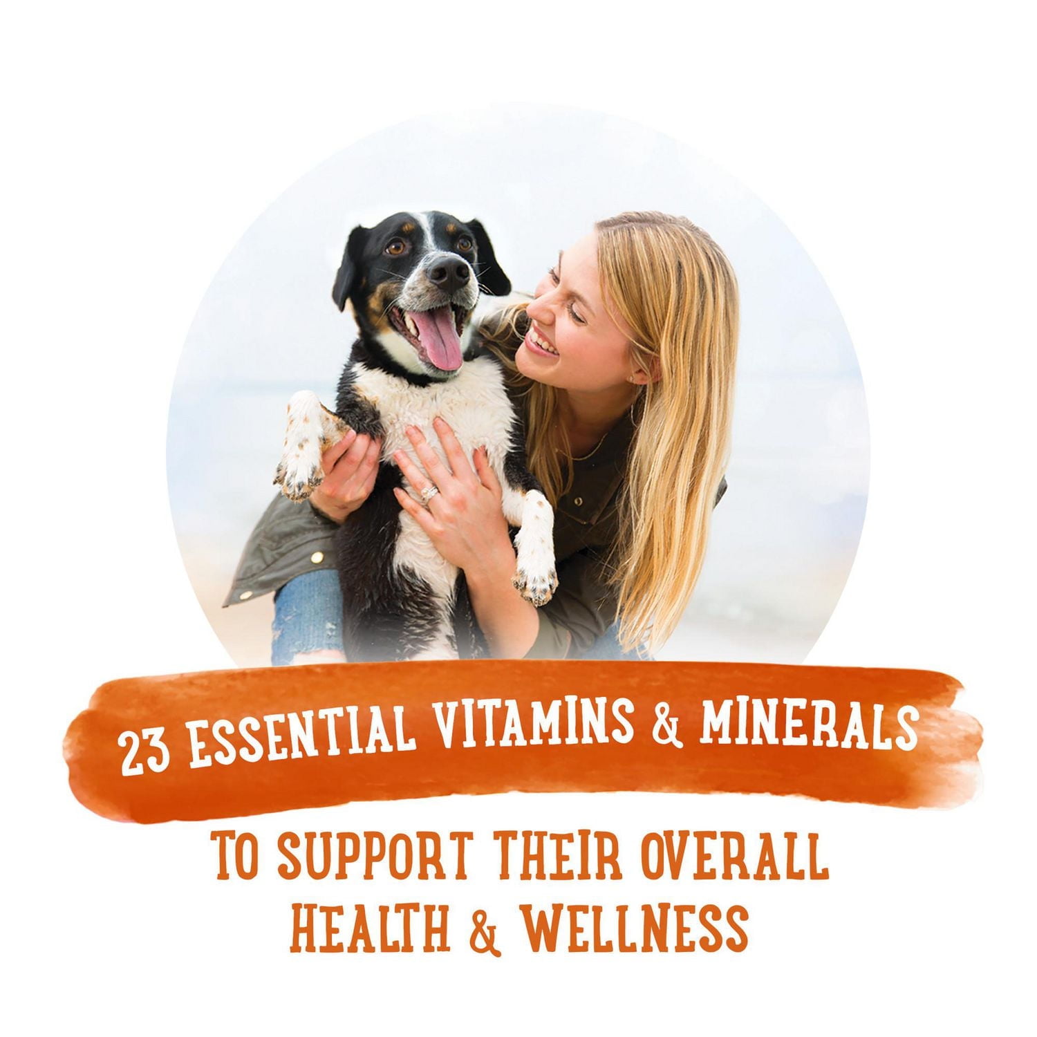 Beneful Repas Préparés Mélange de Poulet Mijoté, Nourriture Humide pour Chiens 283 g 283 g