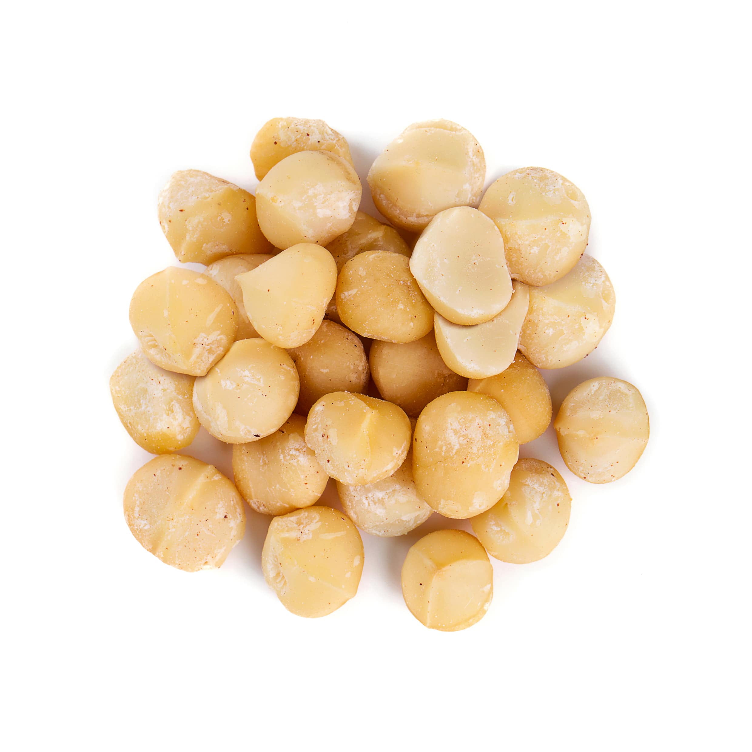 Dry Roasted Macadamia Nuts with Himalayan Salt, 1 Pound — Vegan — by Food to Live