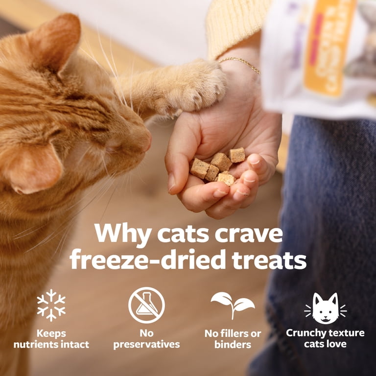 SmartyKat Freeze Dried Real Salmon & Catnip Crunchy Cube Treats