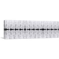 thumbnail image 1 of ARTCANVAS Black Spine on White Panoramic Canvas Art Print - Size: 60" x 20" (1.50" Deep), 1 of 9