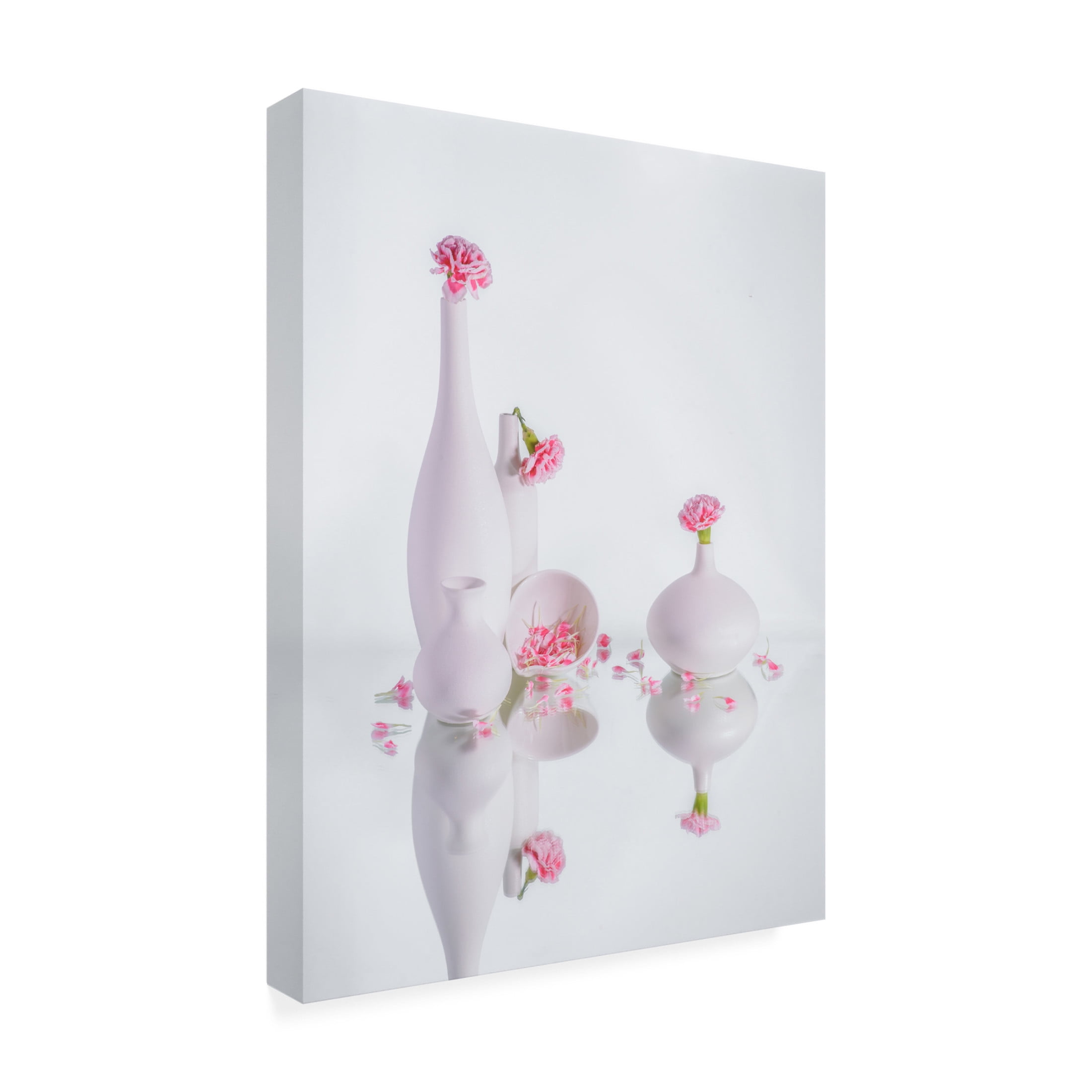 Trademark Fine Art Alice Sheng still life 35 Canvas Wall Art