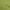 Lime Green, variant on oneOone Polyester Spandex Aqua Blue Fabric Floral Sewing Craft Projects Fabric Prints By Yard 56 Inch Wide
