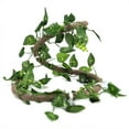 thumbnail image 2 of Reptile Jungle Rattan,Reptile Climbing Branch Flexible Reptile Habitat Decor Lifelike Rattanfor Reptile Enhanced Durability, 2 of 8