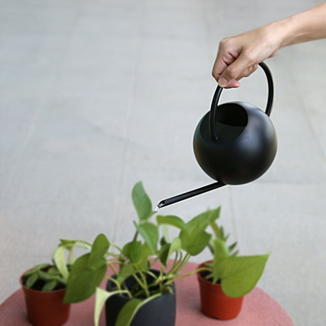 Teissuly Stainless Steel Watering Can - Metal Watering Can With Long Spout To Spillage, Perfect Plant Watering Can For Outdoor And Indoor Plants Teissuly WER202310232130