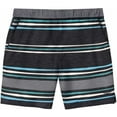 thumbnail image 3 of Speedo Mens Hydro Volley Swim Shorts Black (as1, Alpha, x_l, Regular, Regular, Gray Stripe), 3 of 3