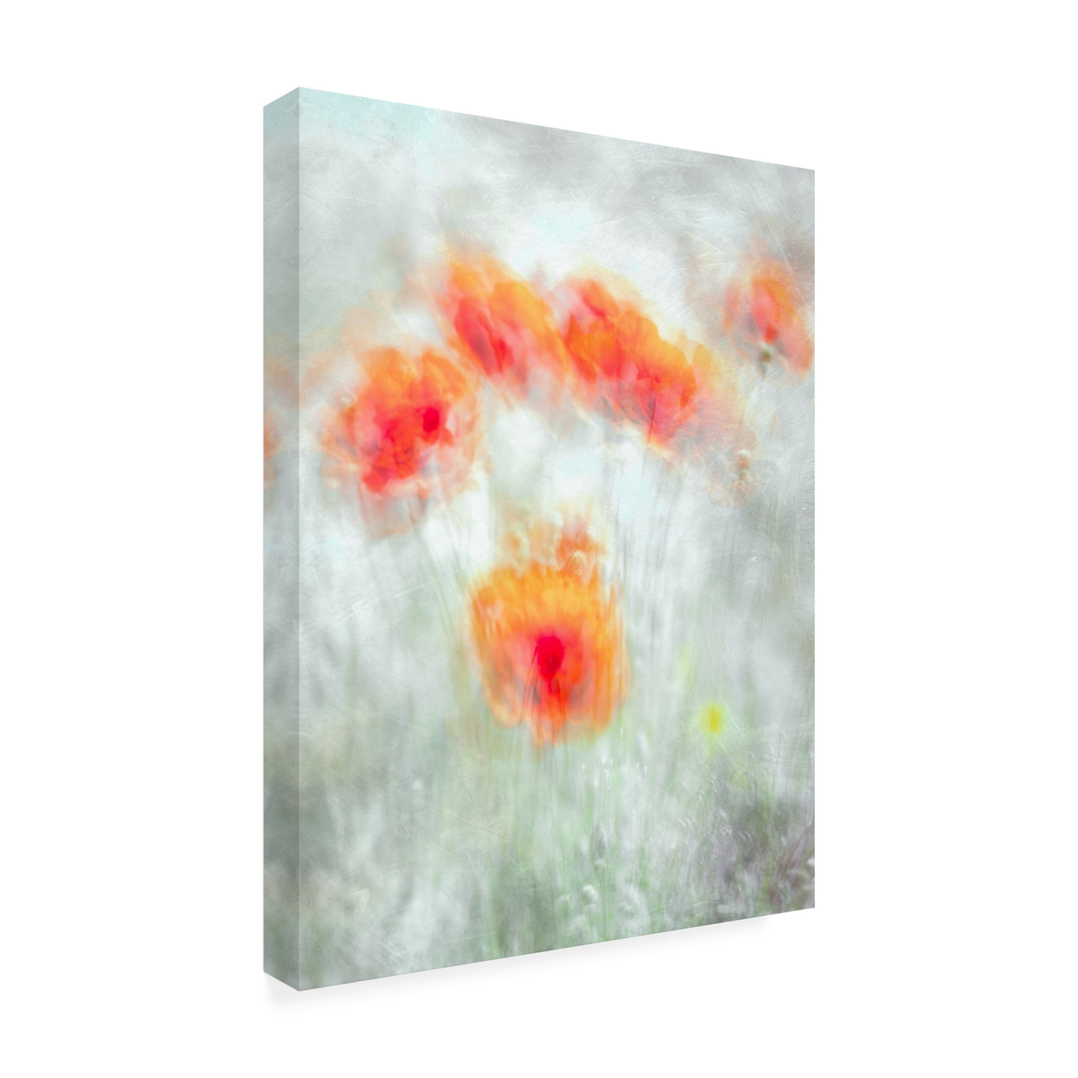 Canvas Wall Art - Majid Behzad 'Red Corn Flowers' Wall Art for Living Room, Bedroom, or Office Décor by Trademark Fine Art - 14 x 19 Inches
