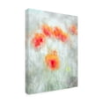thumbnail image 4 of Canvas Wall Art - Majid Behzad 'Red Corn Flowers' Wall Art for Living Room, Bedroom, or Office Décor by Trademark Fine Art - 18 x 24 Inches, 4 of 4