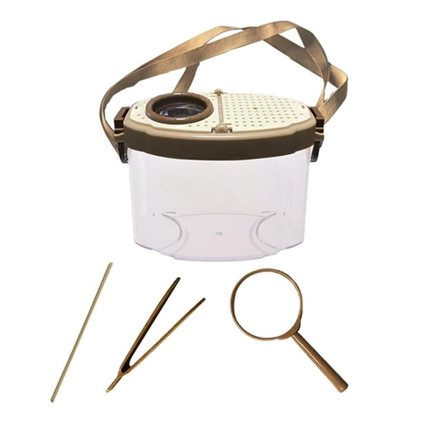 Visor de insectos, lupa para insectos, juguete educativo científico, lupa, redes para insectos A