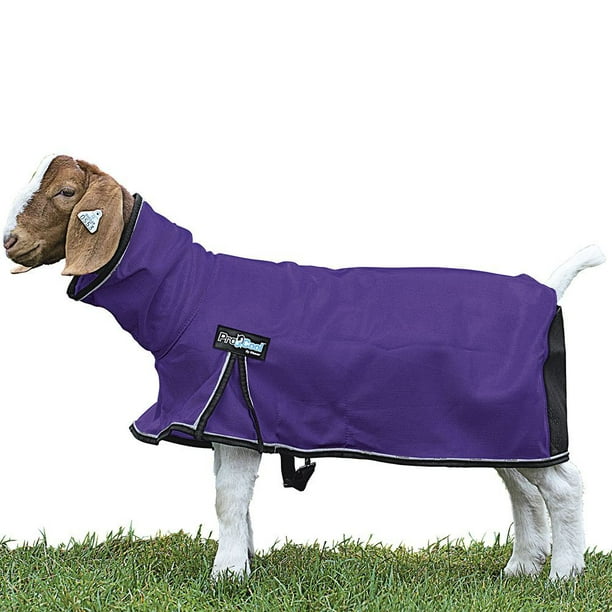 Weaver Leather ProCool Mesh Goat Blanket XLarge Purple