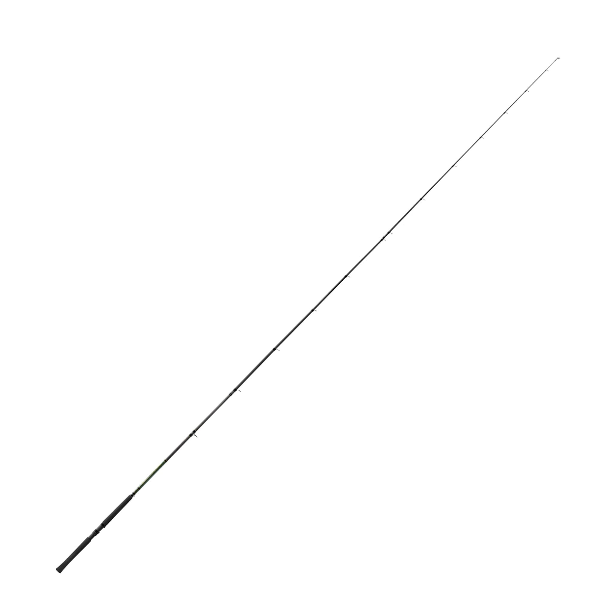 Lew's 12 ft Lightweight Casting Rods