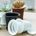 thumbnail image 3 of Cheers.US Flower Planters with Holes and Mesh Plastic Round Plant Pot for Indoor Outdoor Gardening Plants, 3 of 7